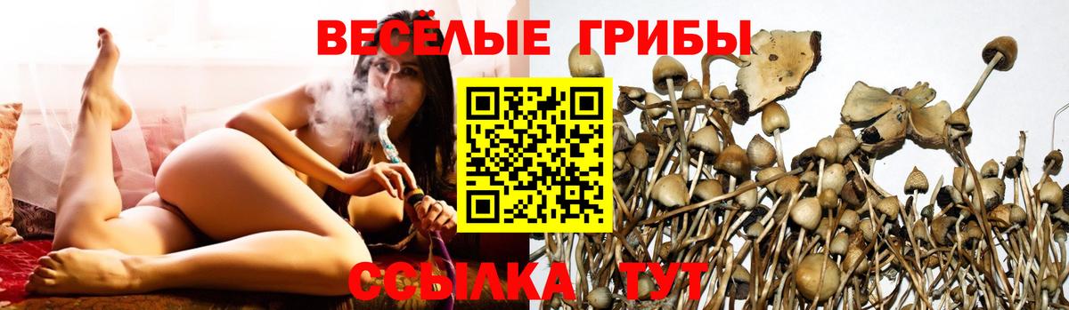 Галлюциногенные грибы мицелий Кохма